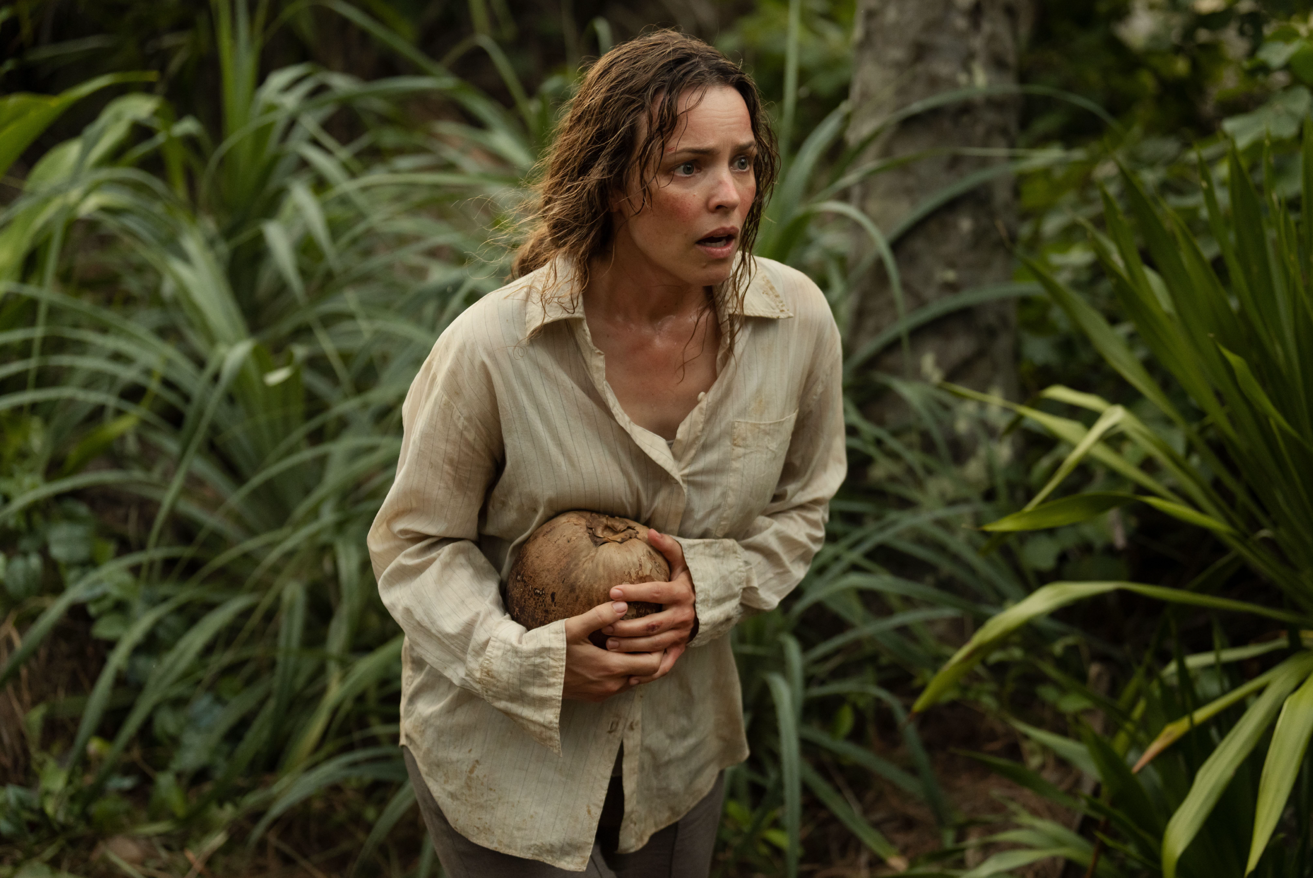 Template photos ViewMag-02