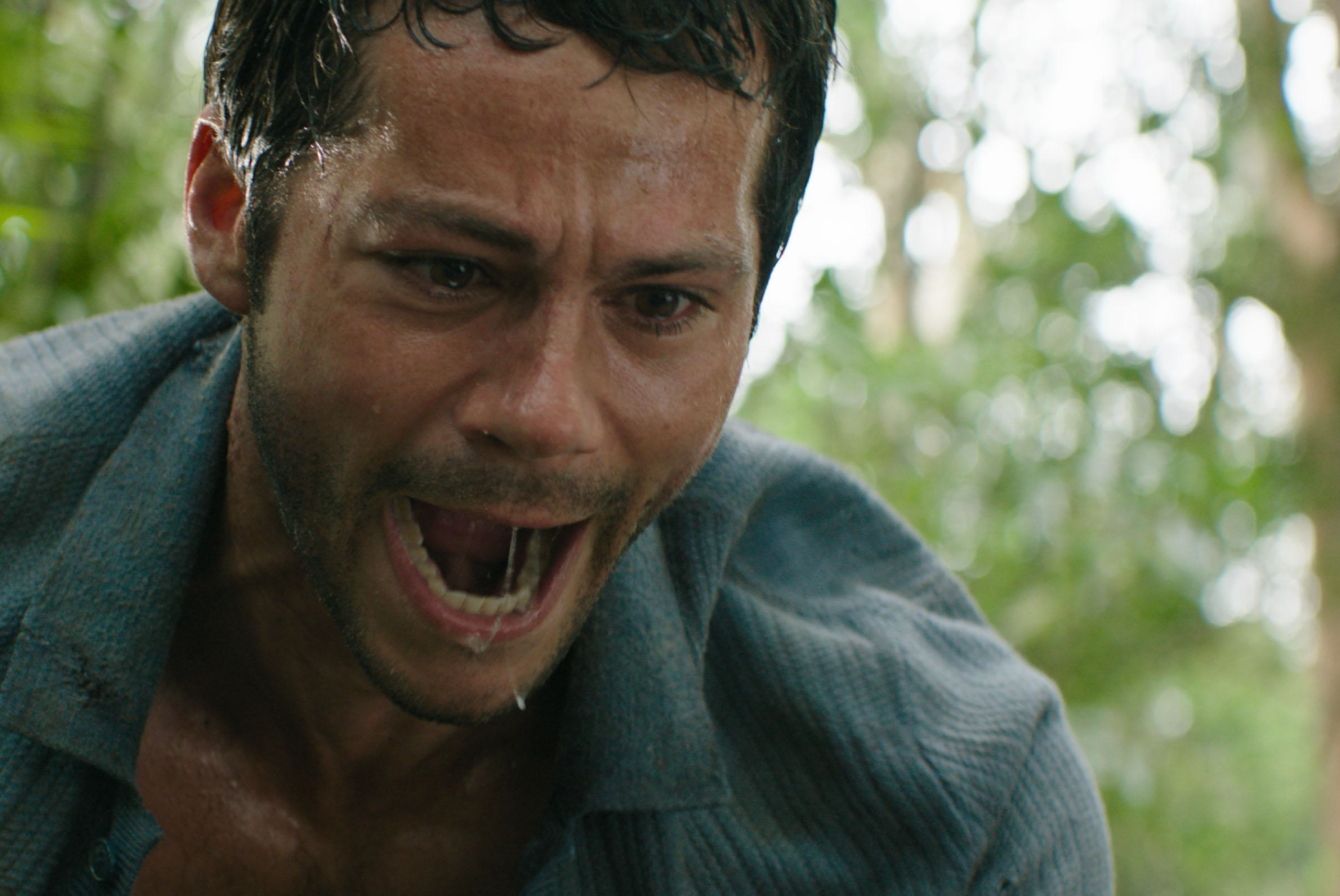 Template photos ViewMag-03