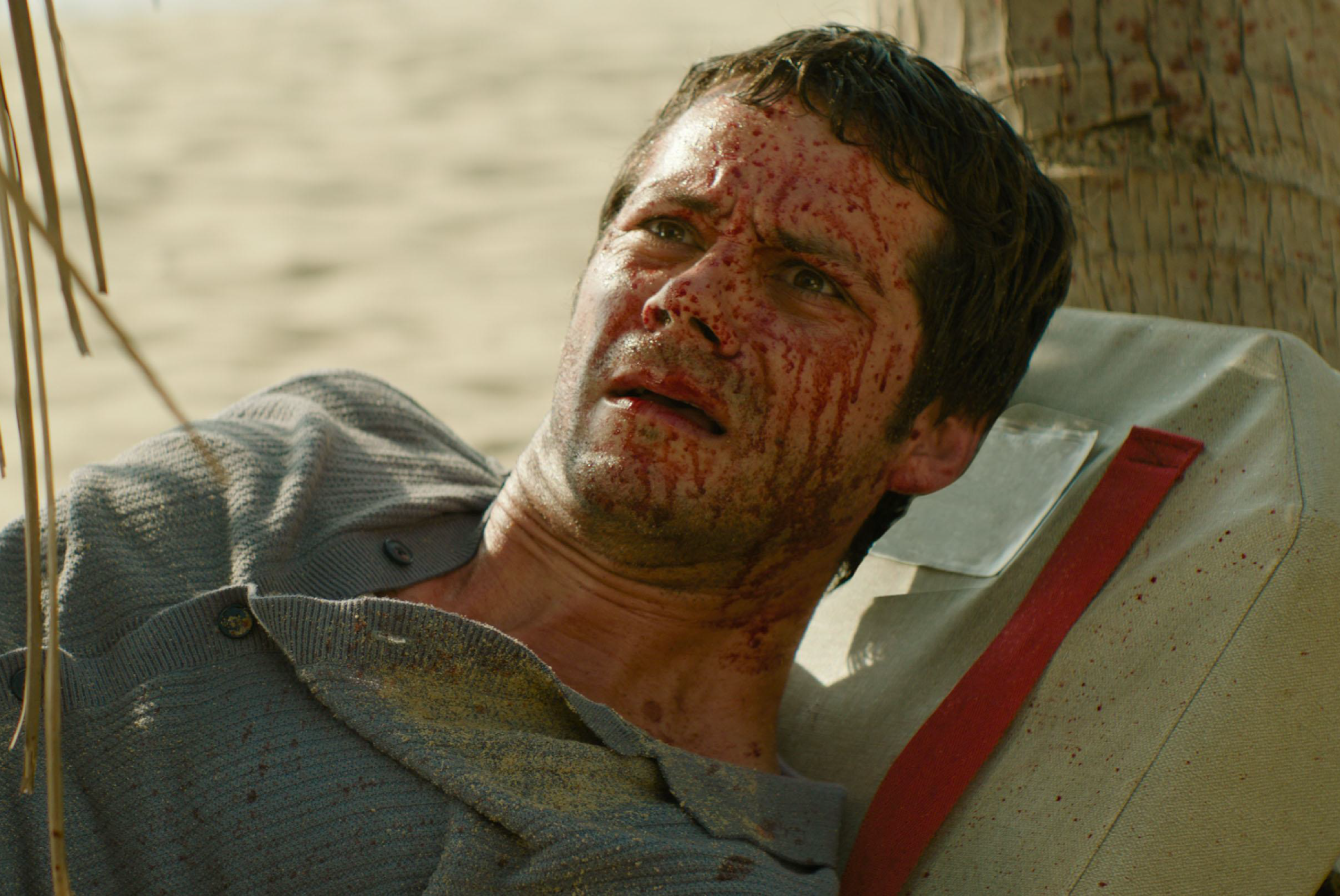 Template photos ViewMag-05