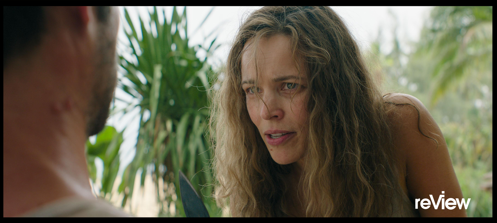 It Ends With Us (Baldoni, 2024)