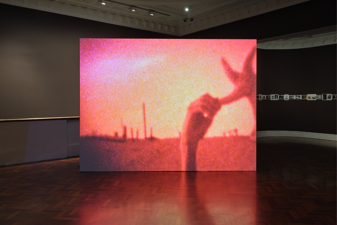 photos ViewMag Website-01