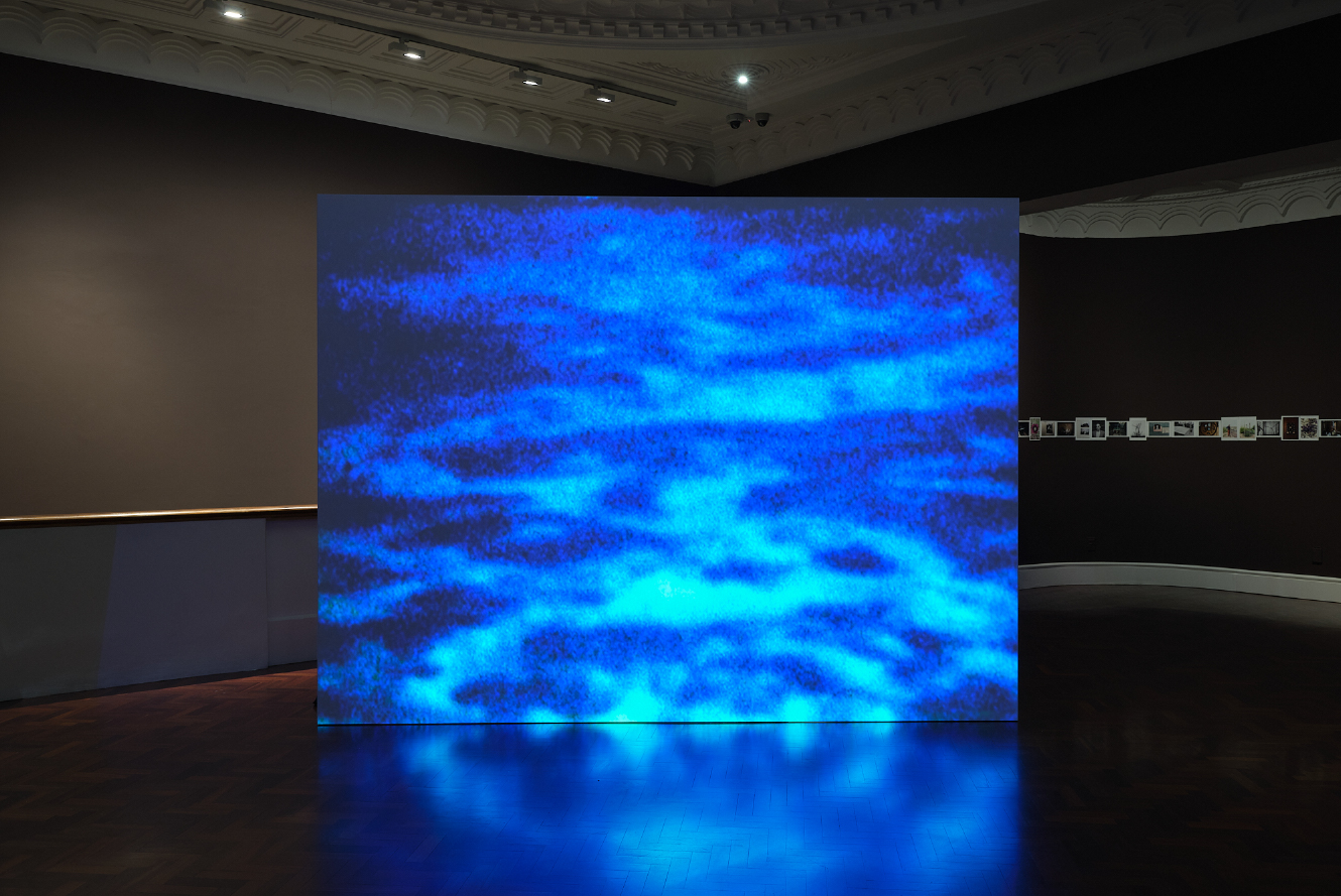 photos ViewMag Website-02