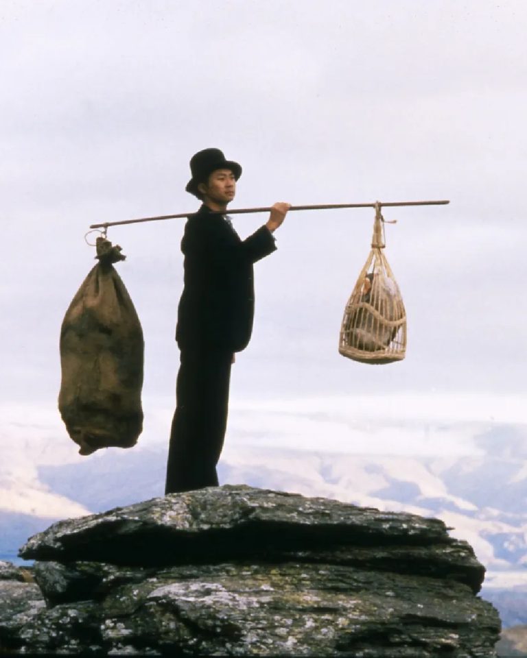 Māoriland does not reveal itself all at once