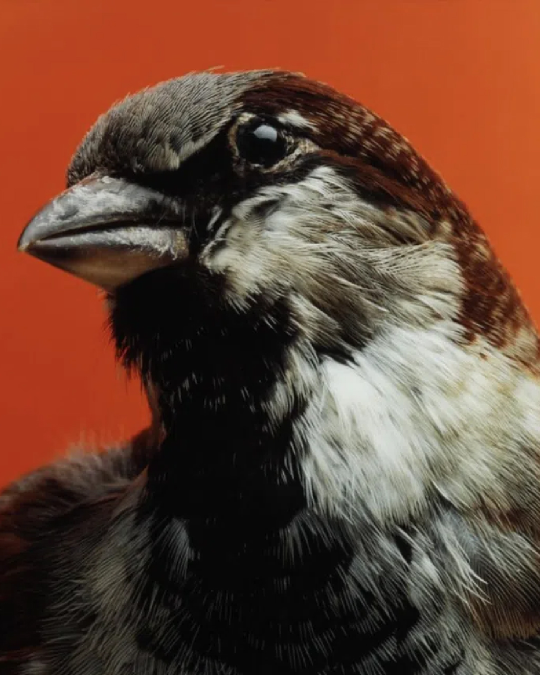 In My View - What Is an Art Fair-02